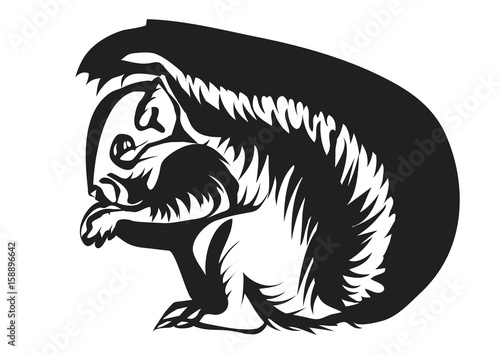 squirrel