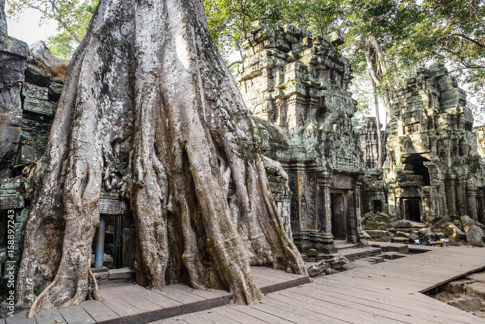 Ruins of the Ta Prohm Temple, Angkor, Cambodia. Ruins of the Ta Prohm Temple, Angkor, Cambodia.