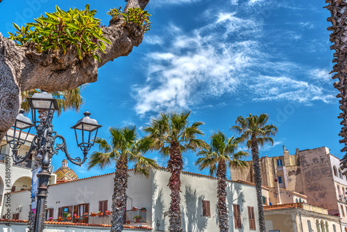 Photography Palm trees in Alghero seafront