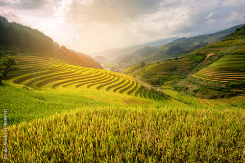 Vietnam Beautiful Sunlight landscape rice field terrace
