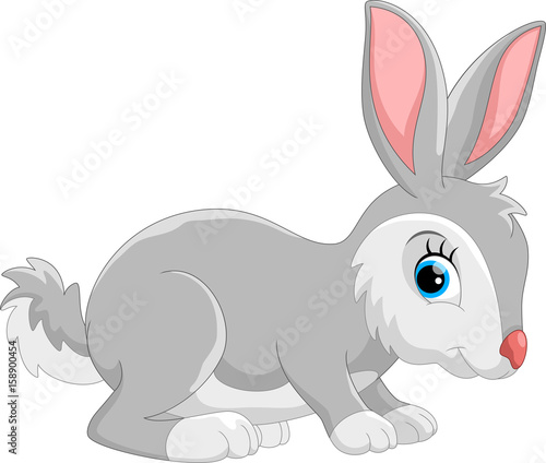 Cute rabbit cartoon