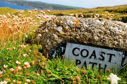 Coast path stone sign in the floral summer meadow фототапет