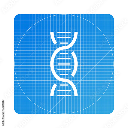 Blueprint - DNA