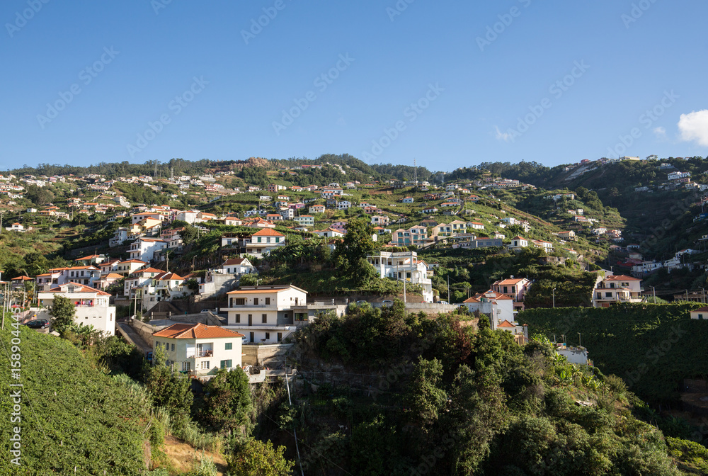 View over the vineyards of the Madeira Wine Company, Estreito de Camara de Lobos, Madeira, Portugal