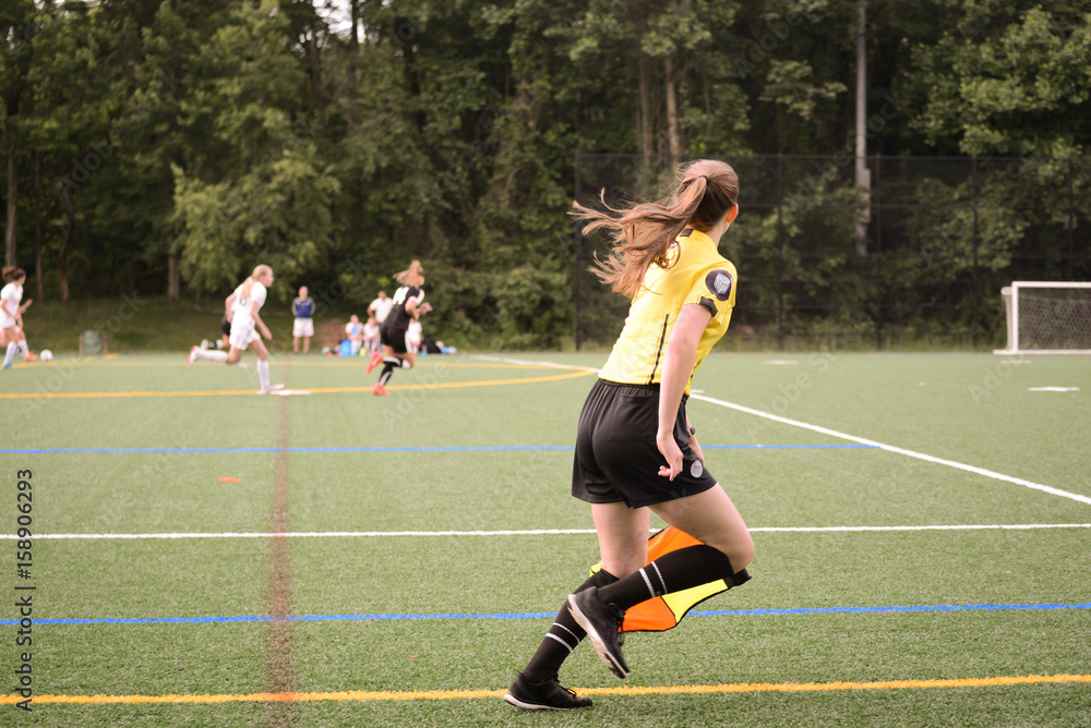 Obraz premium Assistant Referee