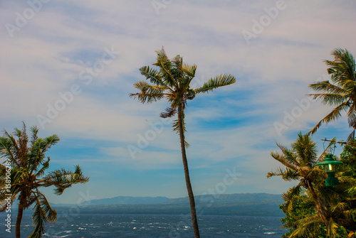 Apo island, Philippines, view on island beach line. Palm trees, sea. photo