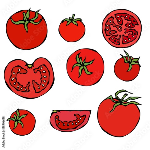 Set of Fresh Red Tomatoes. Half of Tomato, Slice of Tomato, Cherry Tomato. Isolated On a White Background. Realistic Doodle Cartoon Style Hand Drawn Sketch Vector Illustration.