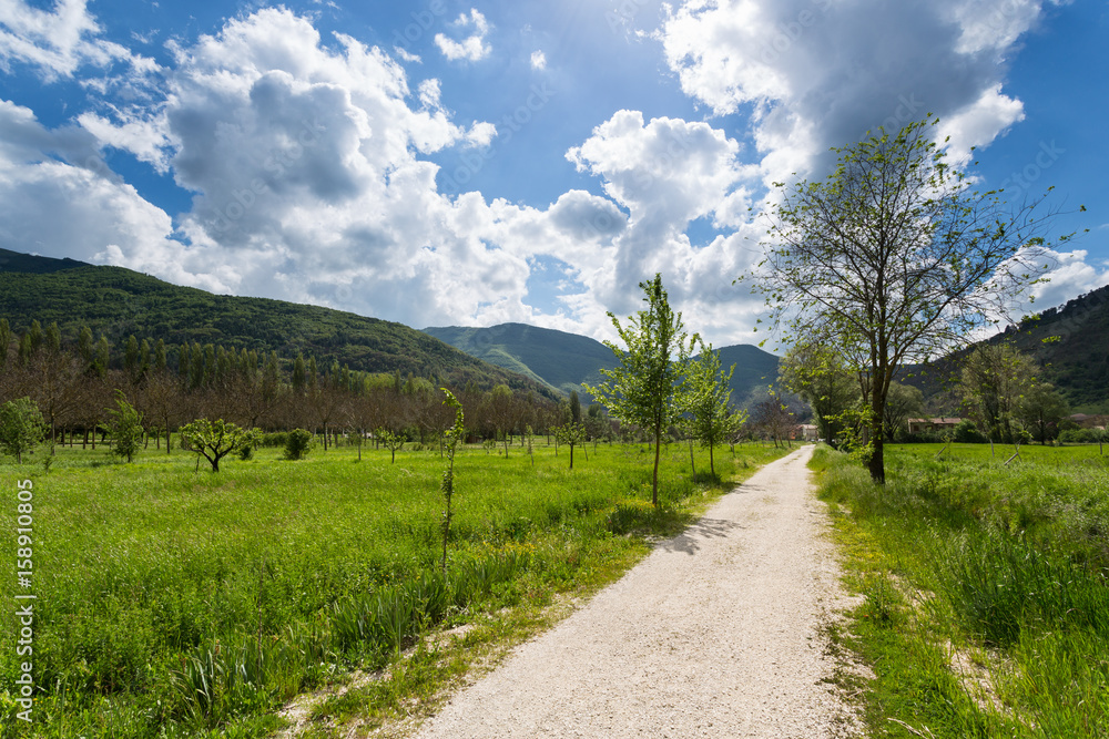 Countryside - Orpiano - Macerata - Marche - Italy Countryside - Orpiano - Macerata - Marche - Italy