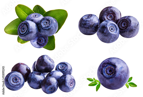 bilberry, blueberries isolated on white Fototapeta