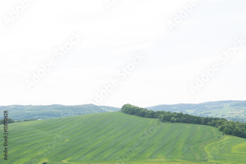 Panorama of green fields from the top of the castle Bolkow Poland