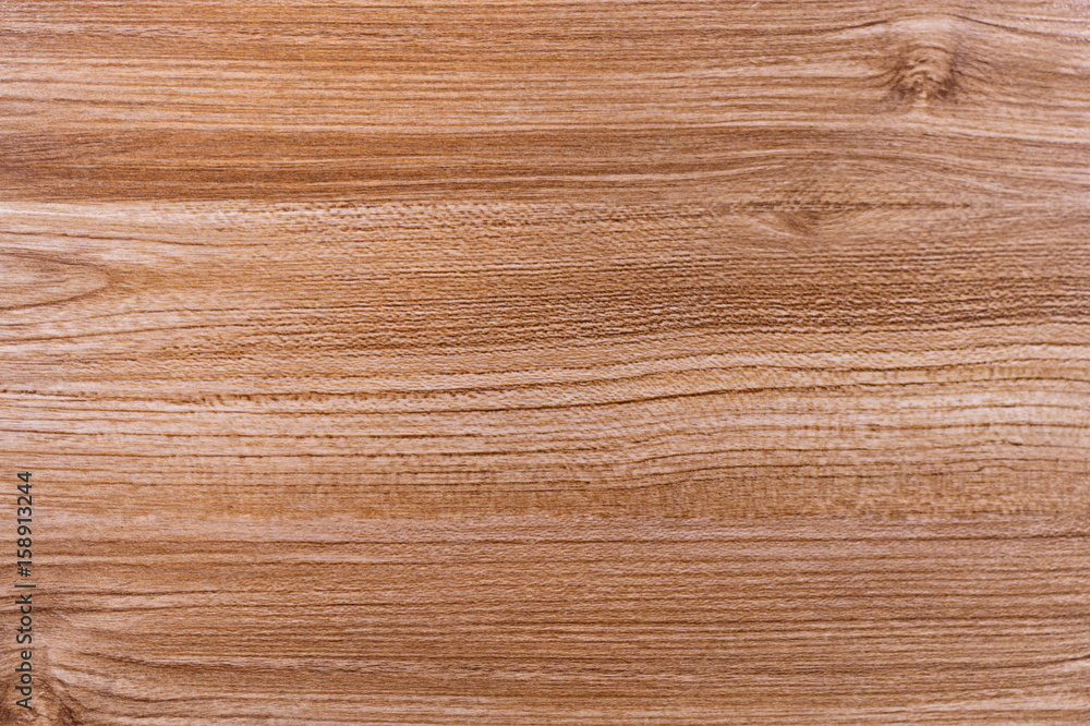 Fototapeta premium Close-up texture of a tree