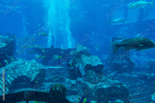 Lost chambers aquarium inside Atlantis hotel on Palm Jumeirah, Dubai, UAE United Arab Emirates