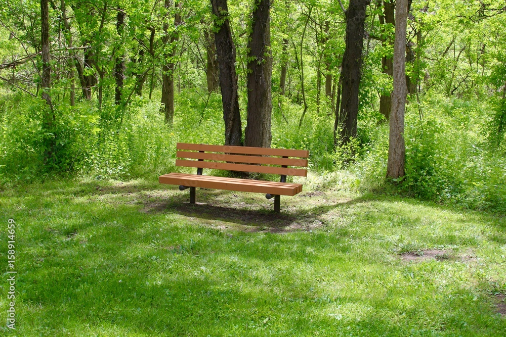 The empty park bench in the wooded area of the park.