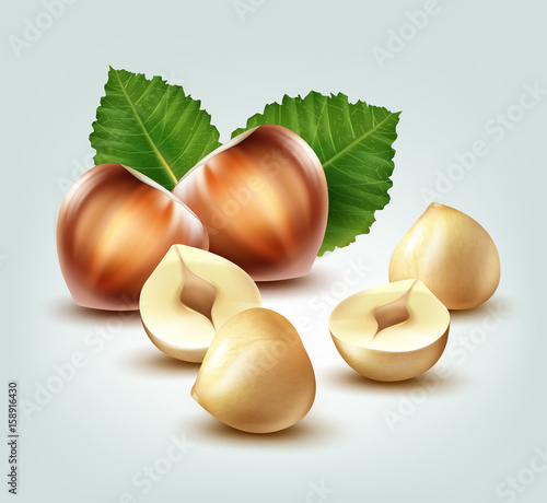 Hazelnuts with leaves