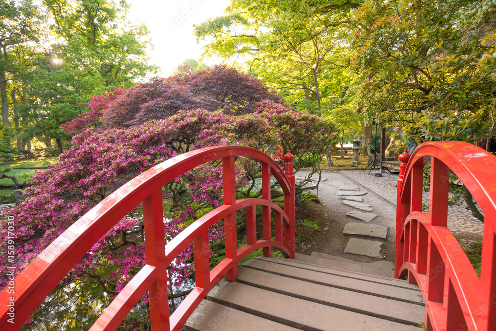 Japanese garden