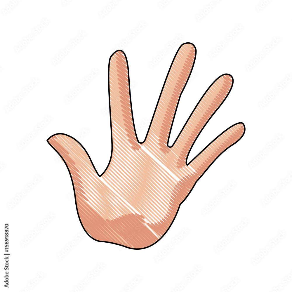 Fototapeta premium hand man palm showing five finger gesture image vector illustration