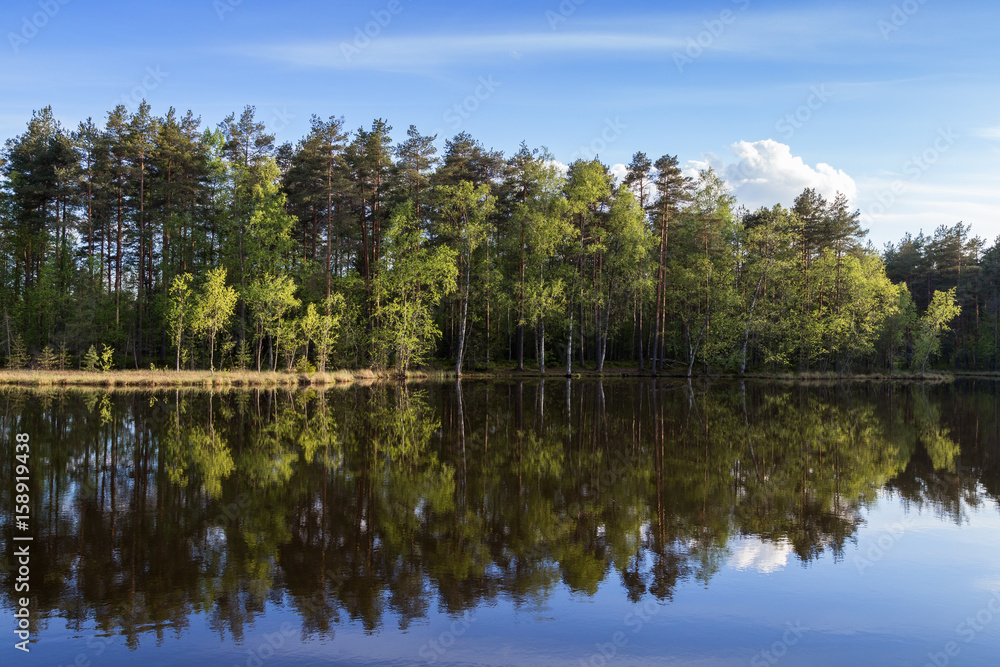 Quiet and calm lake and reflection of a forest in Finland in the summertime.