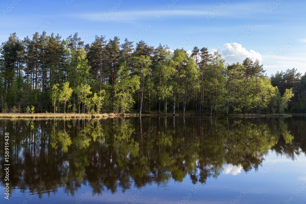 Quiet and calm lake and reflection of a forest in Finland in the summertime. Quiet and calm lake and reflection of a forest in Finland in the summertime.