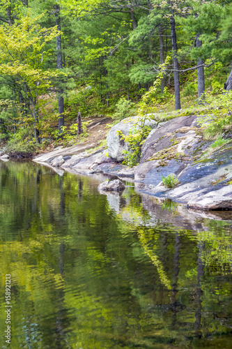 Wallpaper Mural Rocks and forest of the Canadian shield reflecting in clean lake water Torontodigital.ca