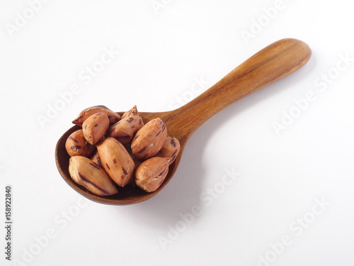 tiger bean on teak wood spoon