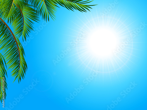 Tropical landscape background with palm tree