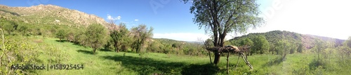 Foto Kurdistan countryside nature