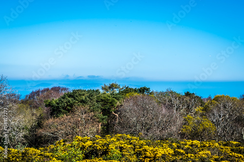 Photography Victoria Hill Park Dublin Ireland