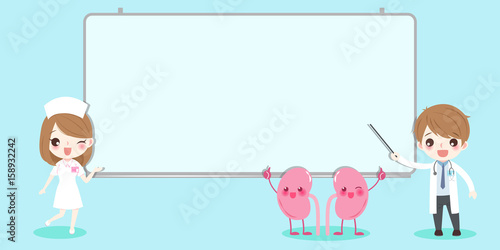 cute cartoon doctor with kidney