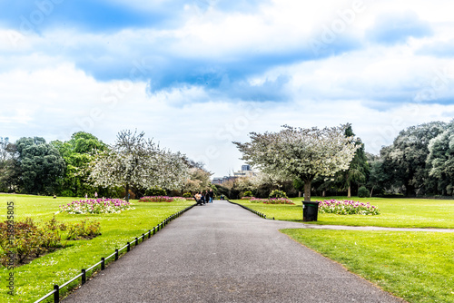 Green landscape, blue skies, Phoenix Park , Dublin, Ireland