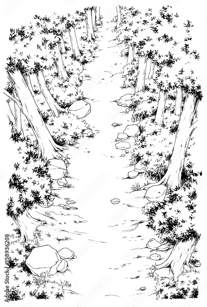 漫画風ペン画イラスト 森 Stock イラスト Adobe Stock