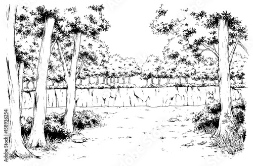 漫画風ペン画イラスト 森 Stock イラスト Adobe Stock 漫画風ペン画イラスト 森 Stock イラスト Adobe Stock