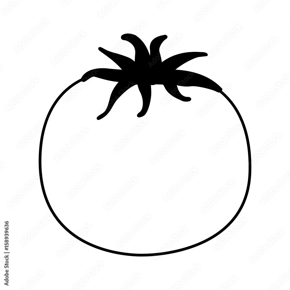 tomato fresh isolated icon vector illustration design tomato fresh isolated icon vector illustration design