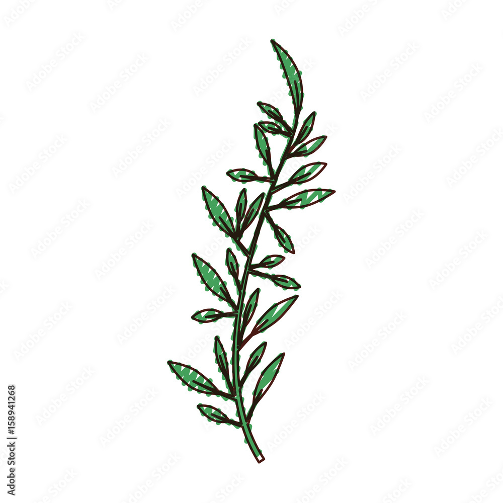 wreath with leafs icon vector illustration design wreath with leafs icon vector illustration design