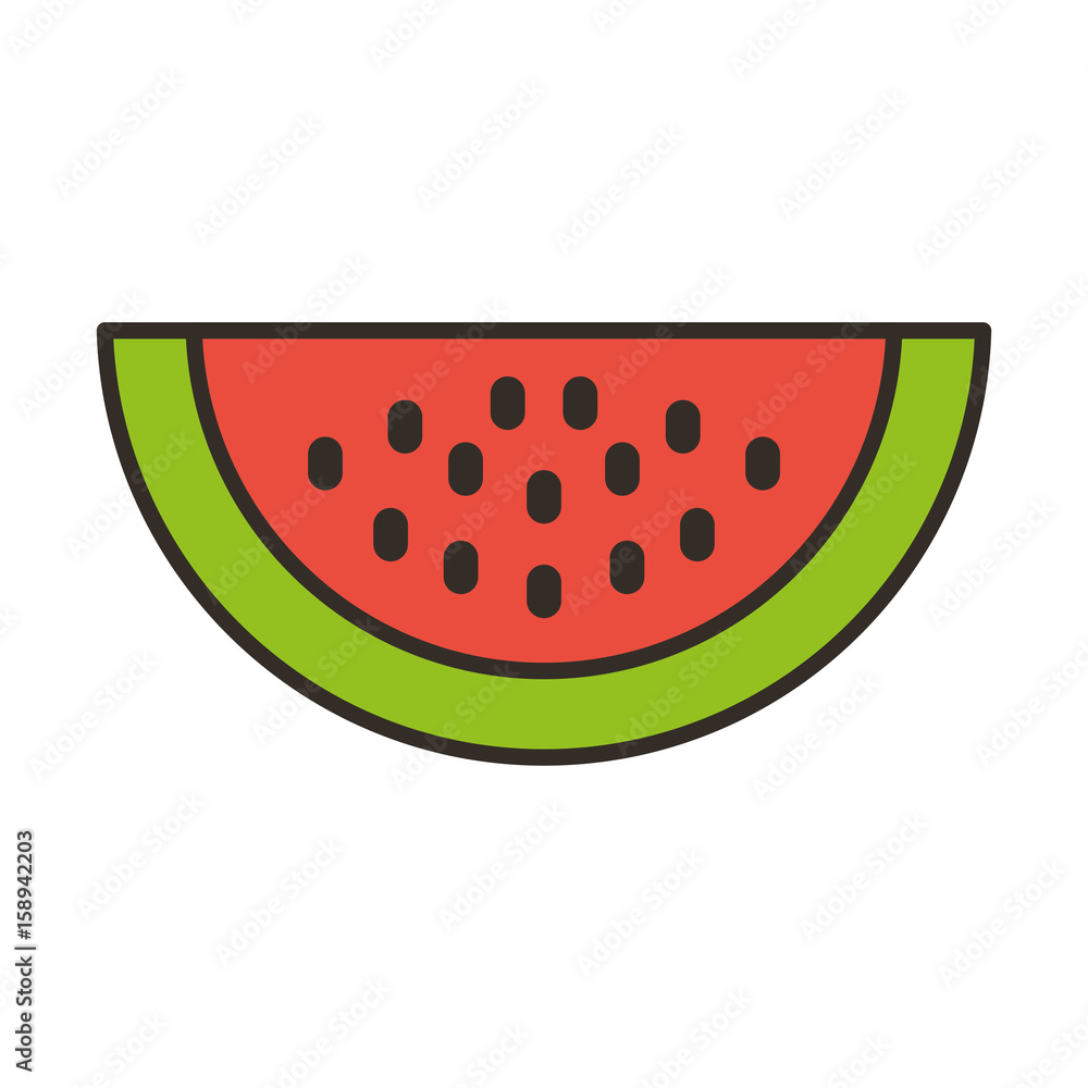 watermelon fresh fruit isolated icon vector illustration design watermelon fresh fruit isolated icon vector illustration design