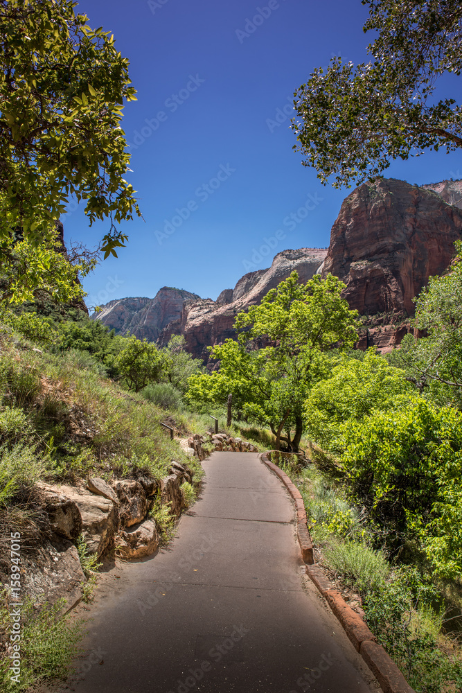 Hiking Trail in Zion National Park