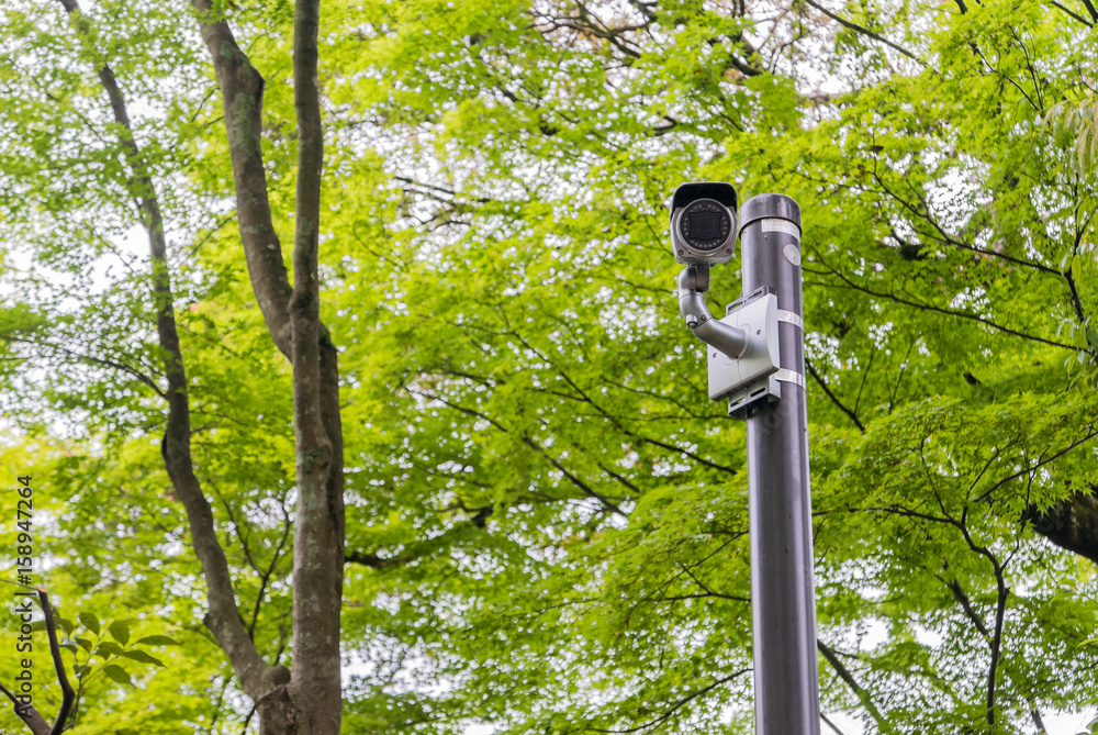Fototapeta premium CCTV Camera at Kinkaku-ji Temple