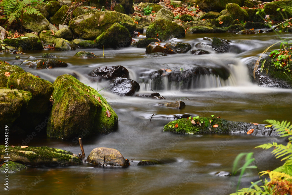 Bachlaufstimmung im Wald