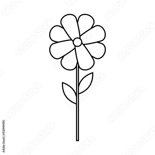 beautiful flower icon over white background vector illustration