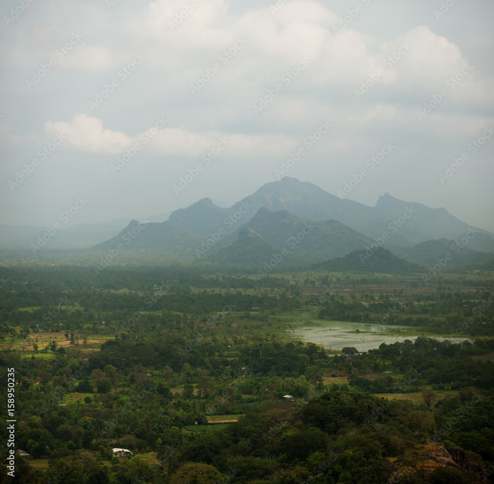 Rainforests, swamps and mountains. Sigiriya, Polonnaruwa, Sri Lanka