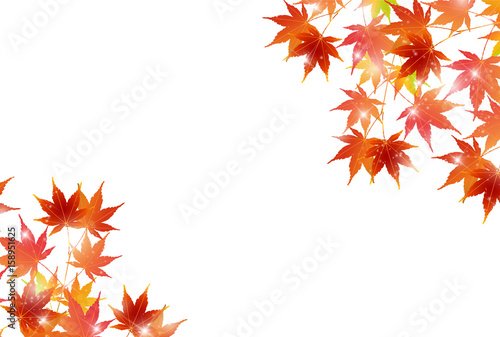 紅葉　もみじ　秋　背景