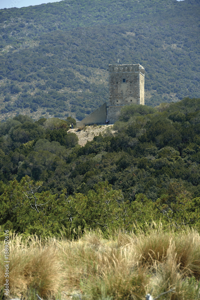 Fototapeta premium maremma