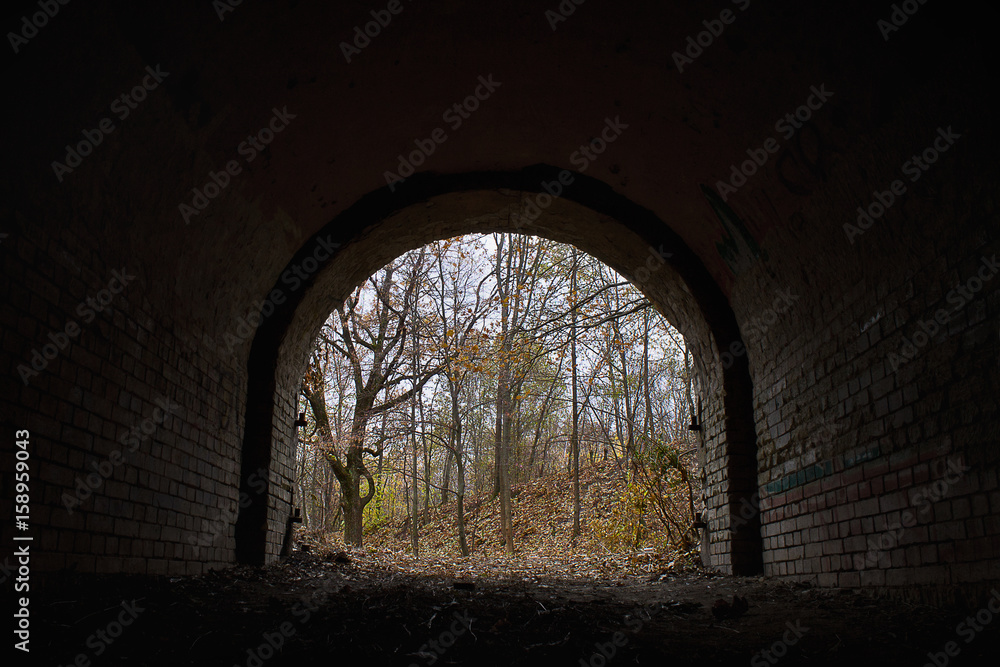 view of the autumn forest clearing out an old abandoned tunnel view of the autumn forest clearing out an old abandoned tunnel