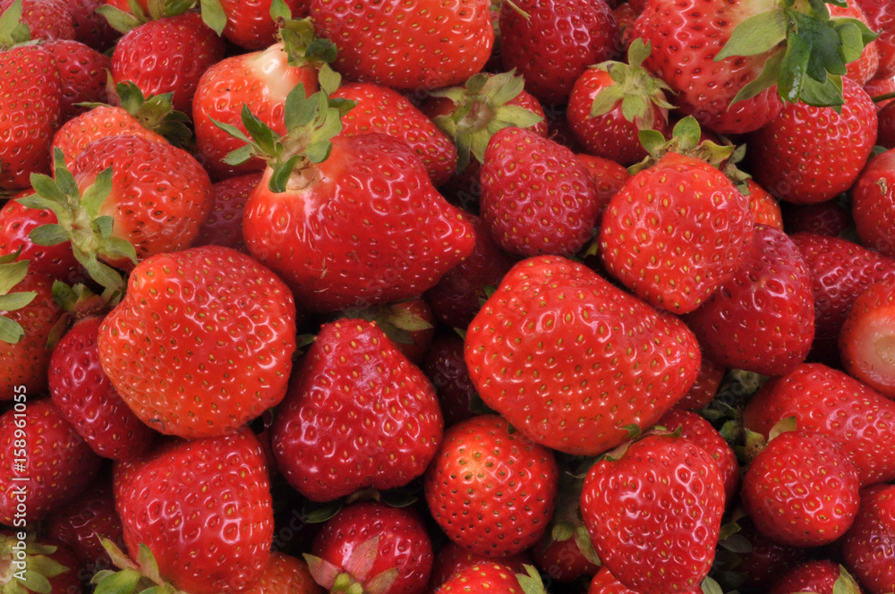 Fraises Fraises