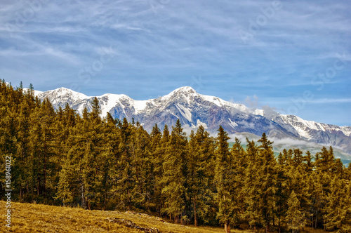 The snow-white peaks in the clouds. The photo was taken in the campaign in the Altai region on Chuysk. Russia. Green valley with grass, trees and shrubs. Mountains and clouds in the distance. photo