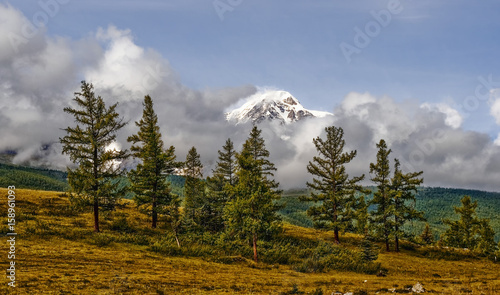  The snow-white peaks in the clouds. The photo was taken in the campaign in the Altai region on Chuysk. Russia. Green valley with grass, trees and shrubs. Mountains and clouds in the distance. photo