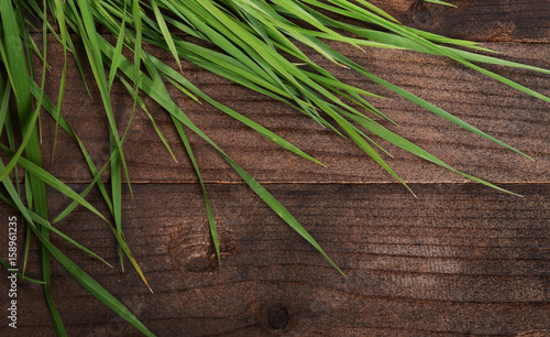 Green grass on wooden background