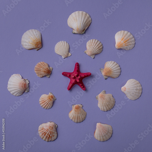 Summer background: From above shot of red small sea star surrounded with big and small seashells in purple. Top view. Flat lay.