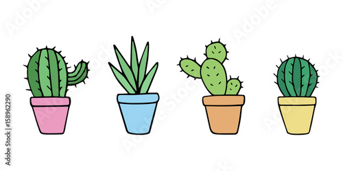 Cute cacti set, cactus in little plant pots, vector illustration doodle drawing, hand drawing cactus and succulent isolated icons.