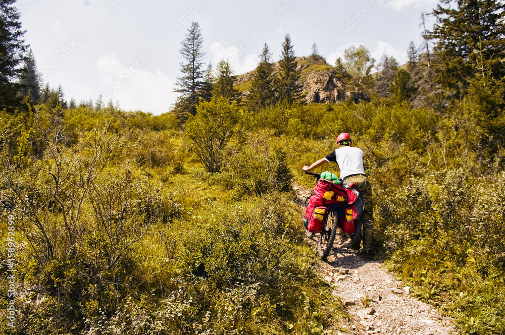Fototapeta premium Biking on the Altai Republic. Beautiful mountain scenery, forest, green, mountains. A man on a bicycle with a backpack on a slope, trail, mountain road. Sprtivny campaign. Russia. Tourism.
