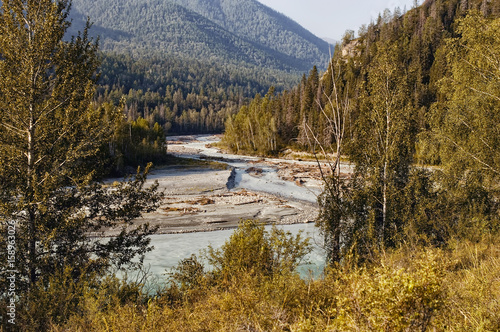Altai. Mountain turbulent river flows among the trees. In the distance the mountains. Neighborhood Belugas, photo made in the campaign, in the summer, Russia.